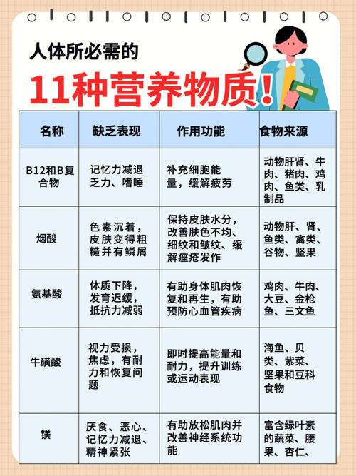 探索身体对营养吸收的最佳时机，营养摄入的黄金时段揭秘