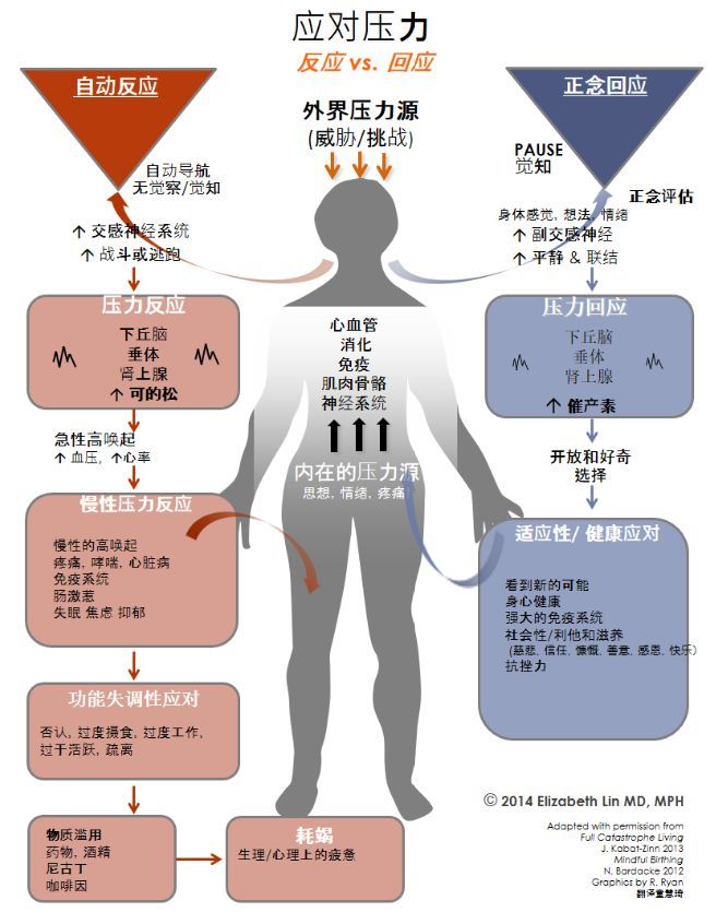 短期压力对身体健康的影响