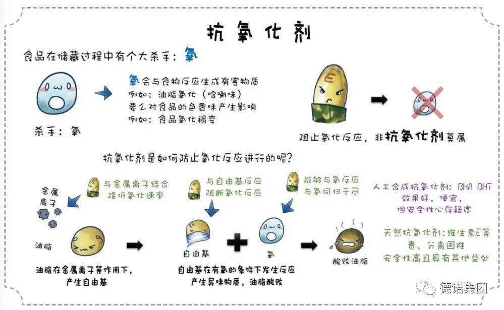 探寻饮食中的抗氧化剂之源，揭秘健康长寿的秘诀