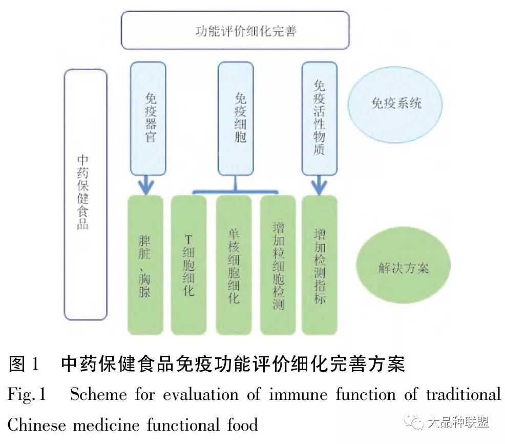 强化免疫系统必备食物清单