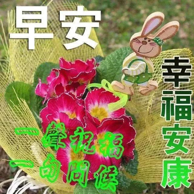 泛舟湖上，体验宁静与平和的魅力