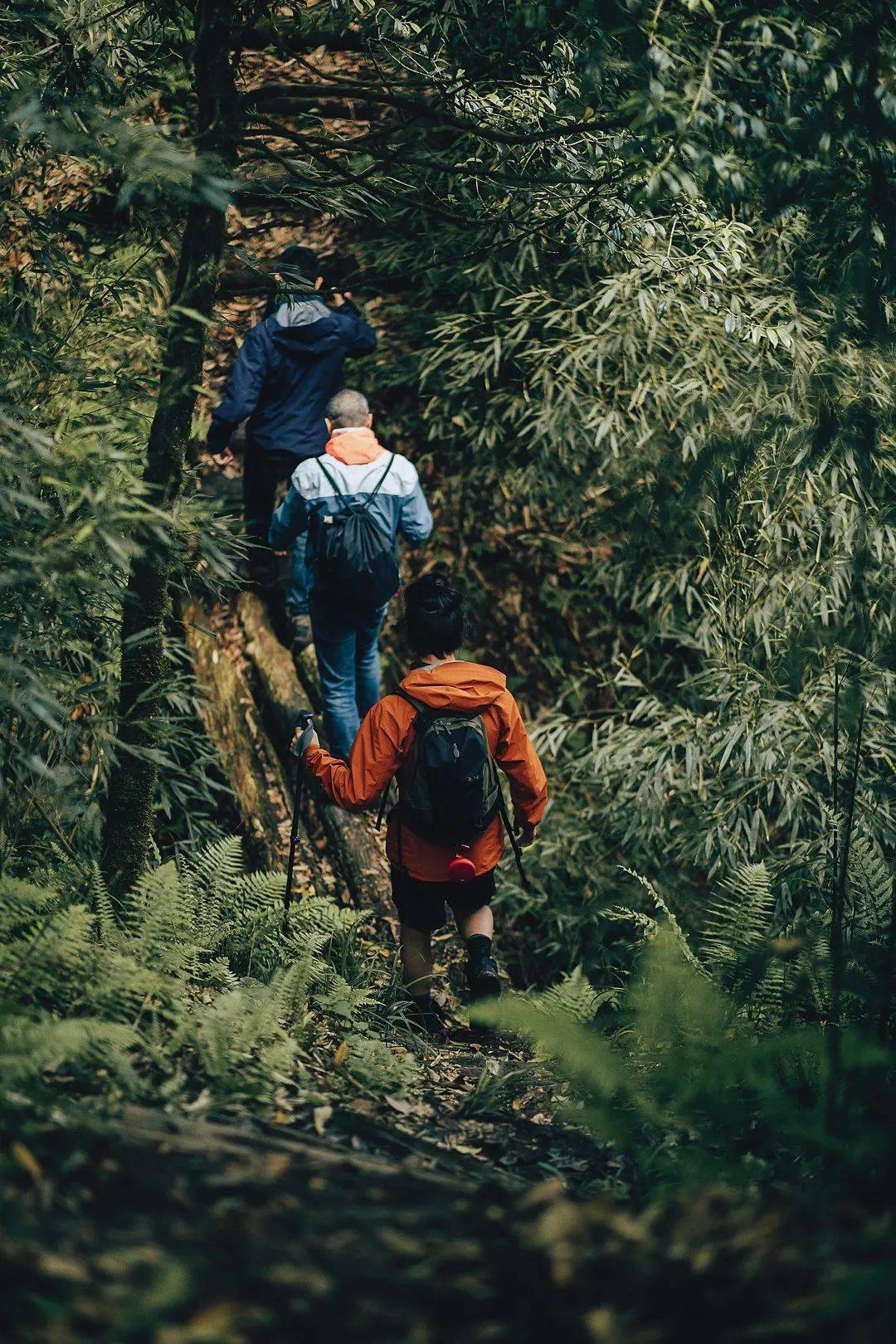 探索秘境，未知世界的神秘之旅