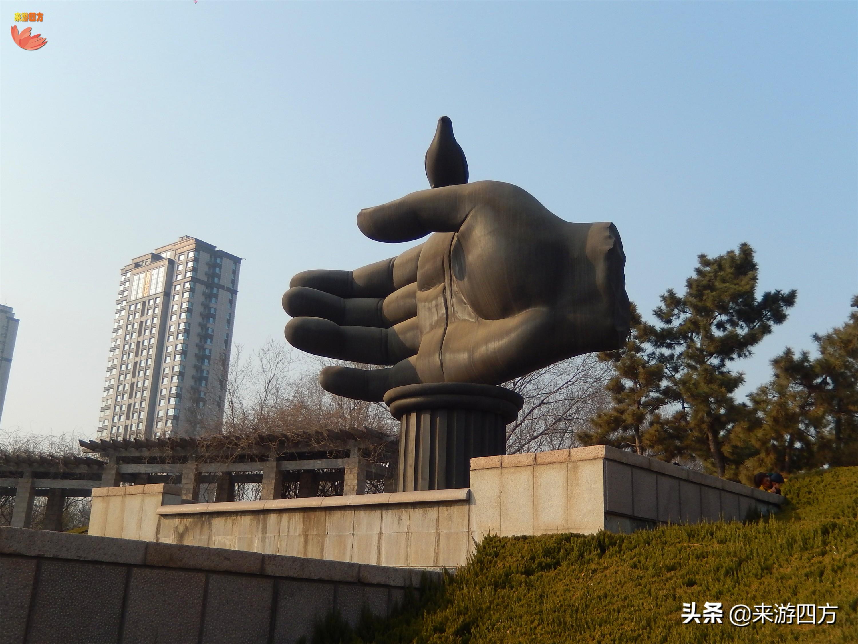 探访神秘森林，与自然共生的奇妙之旅