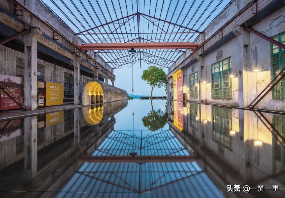 雨后花朵的生命坚韧与美丽绽放