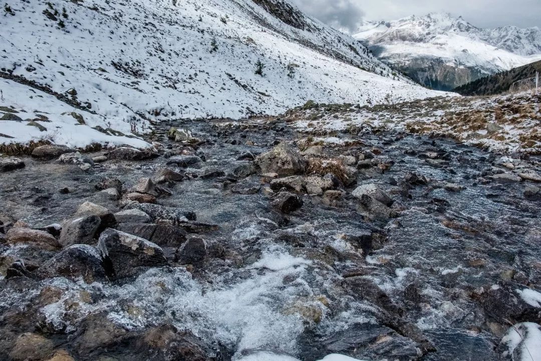 高山雪融溪水欢歌，自然复苏与生命律动之美