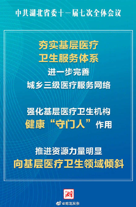 公共卫生体系应对跨境疾病传播的策略与挑战