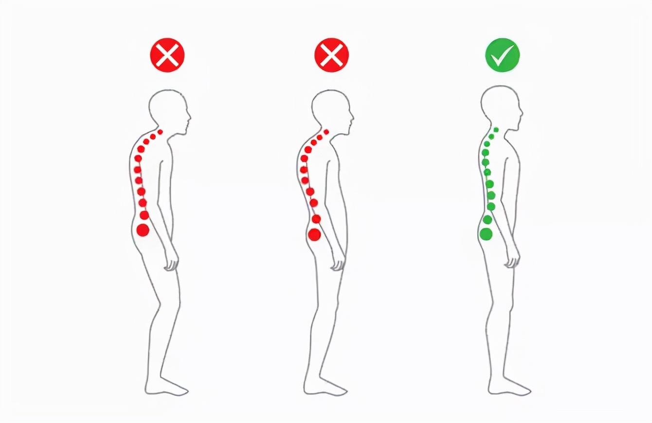 加强背部肌肉训练，改善姿势的秘诀