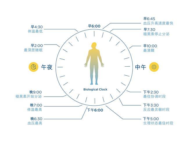 2024年12月 第745页