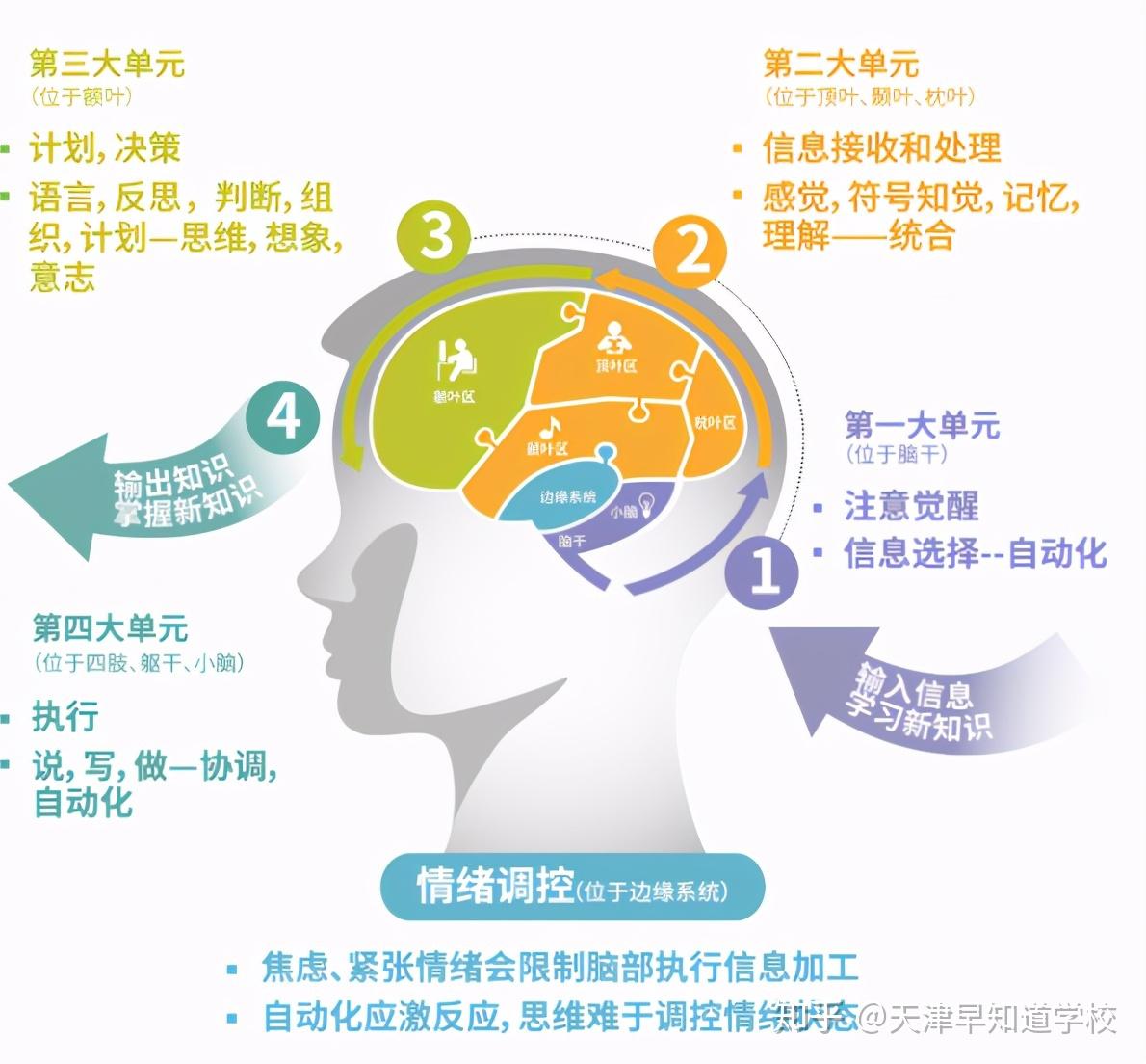 多感官学习法，提升学生理解力的有效途径