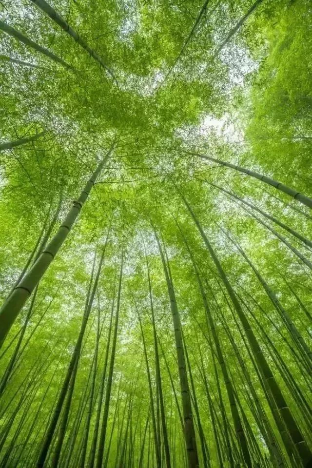 雨后的清新空气令人心旷神怡