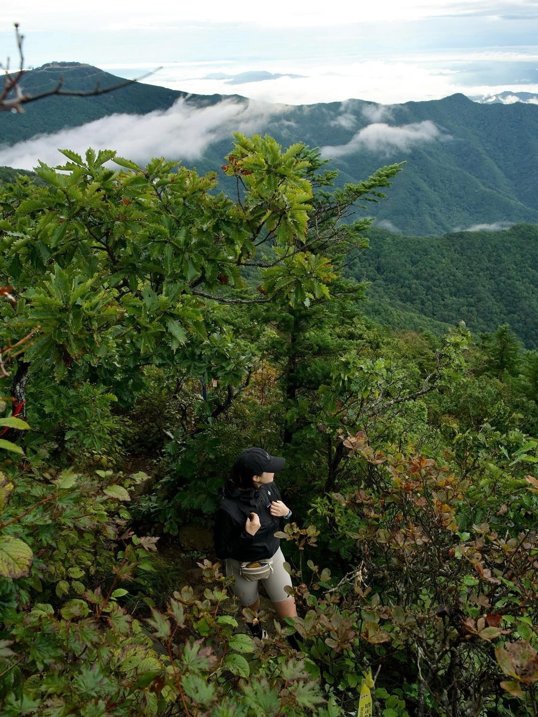 大山怀抱中的自然力量之旅