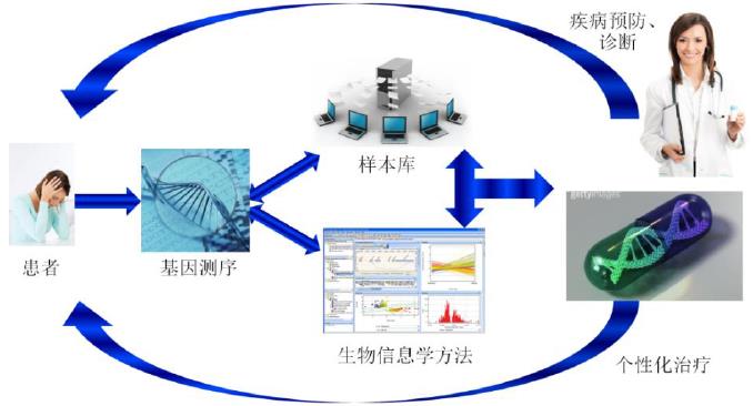 基因组学对精准医疗的深远变革