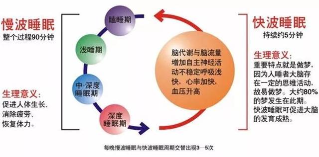 科学睡眠，提升生活质量的关键要素