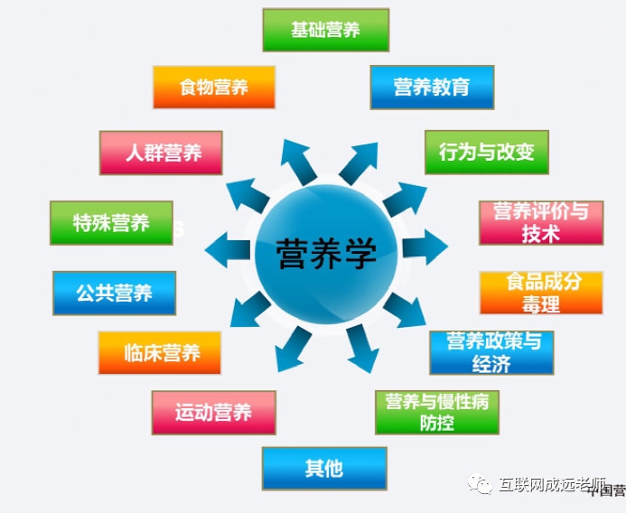 营养学与健康促进的紧密关联