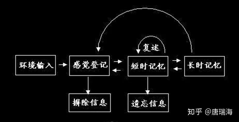 往复式叙事结构的复杂性与深度探究