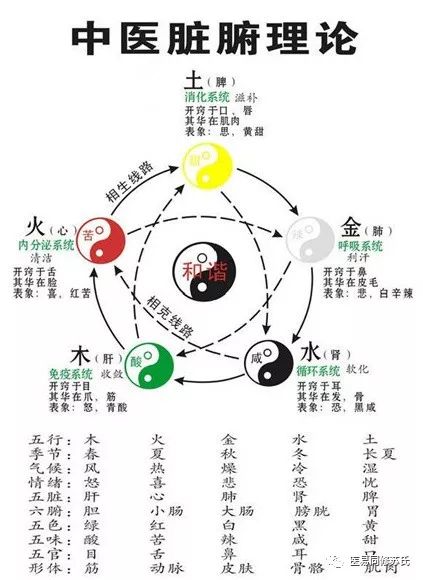 传统养生与现代医学的互补性研究，融合发展的视角