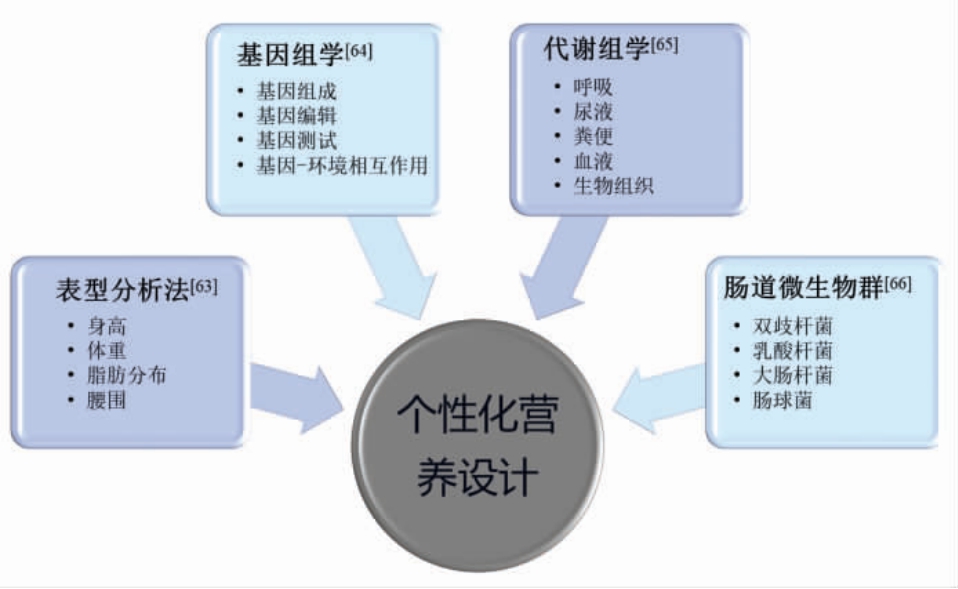 个性化营养方案，健康潜能的无限可能