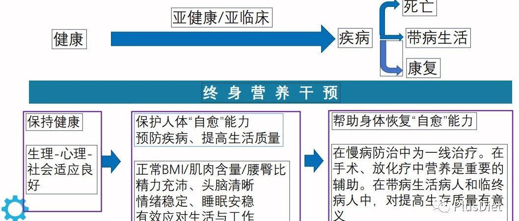 长期健康管理与慢性病预防，构建健康生活的双重保障之路