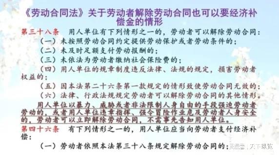 环境政策中的法律适应与社会参与，多元视角的探讨