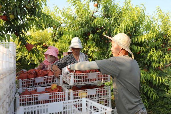 跨文化视角下的糖分认知，探索甜蜜与健康的平衡之道