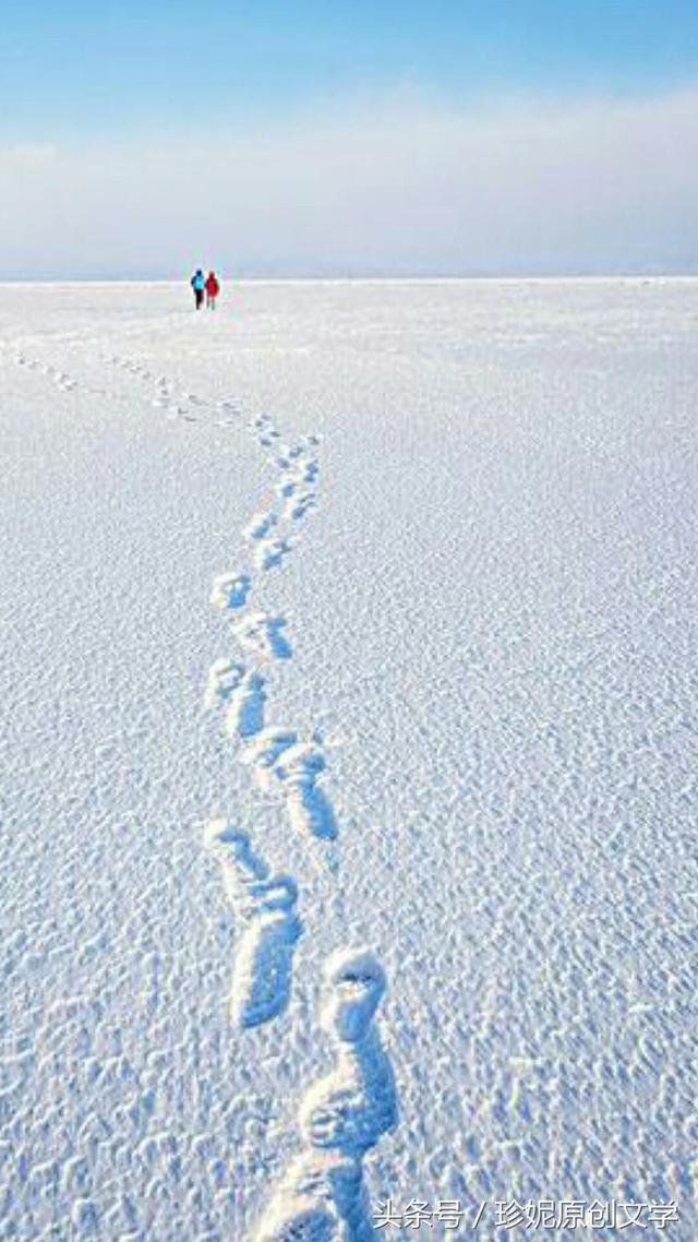 雪地上的宁静足迹