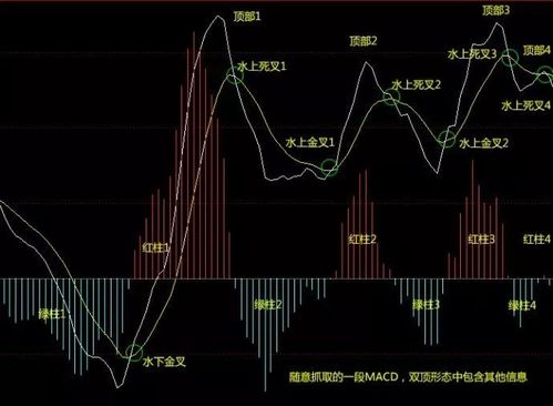 花瓣飘落 第5页