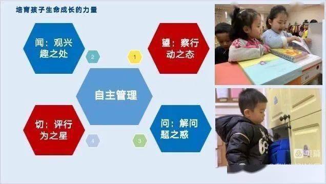 让孩子参与决策，助力责任感培养