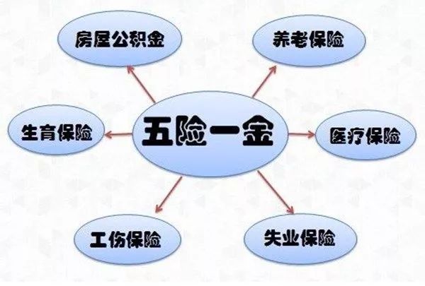 社会群体利益协调机制研究，寻求共同繁荣的和谐路径