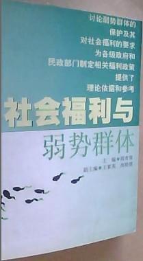 社会福利与弱势群体保护，构建和谐社会之基石