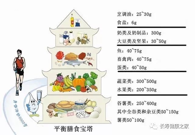 营养均衡对增强体力的关键作用