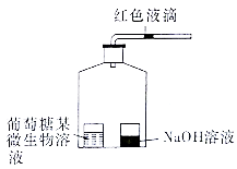 发酵技巧与原理，提升食物风味探索