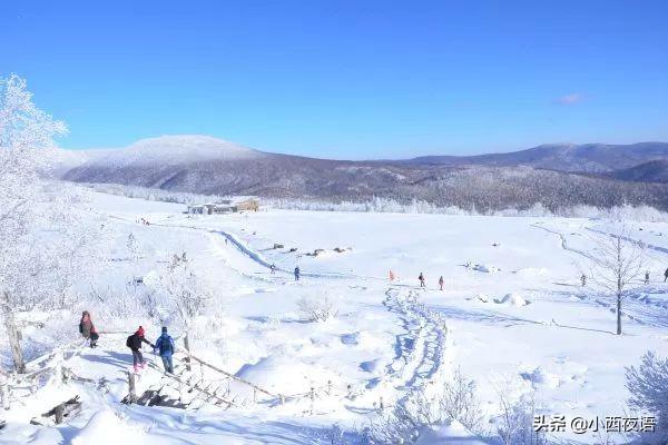 雪后公园探秘，足迹之旅