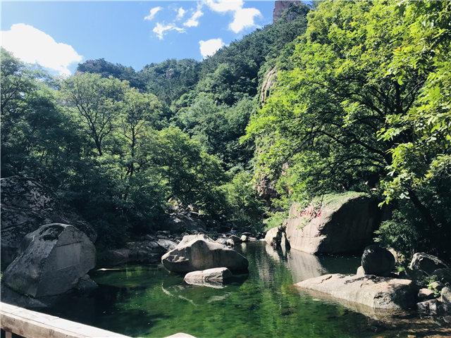 雨晨洗礼，生命的复苏与自然的启示