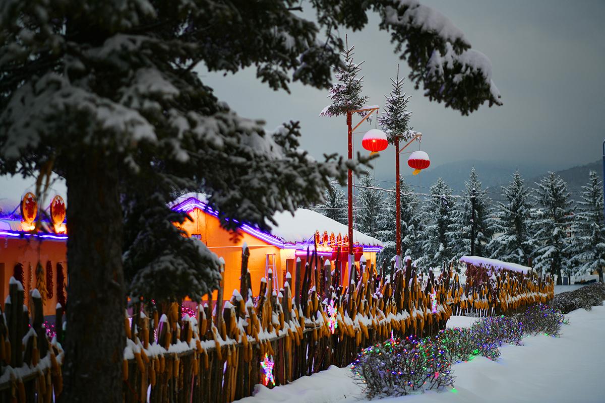 冬季森林雪景，雪花轻舞，银装大地