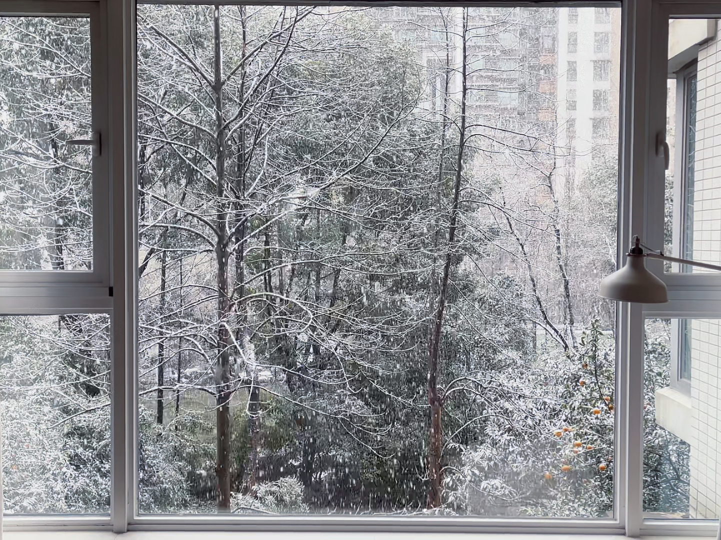 透过窗户看雪，世界雪景尽收眼底