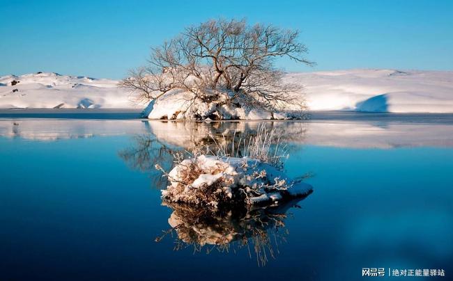 冬季湖边的雪絮美景