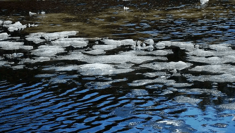 初春湖畔，冰雪消融的诗意画卷