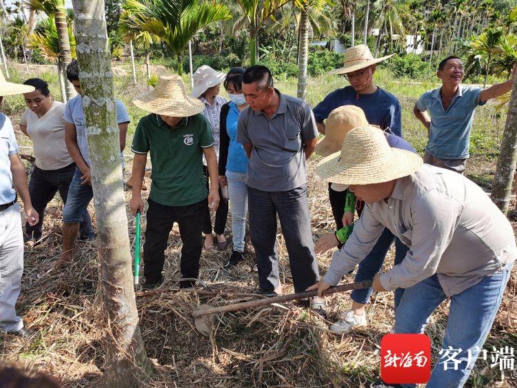 智能技术助力农业种植效率飞跃提升