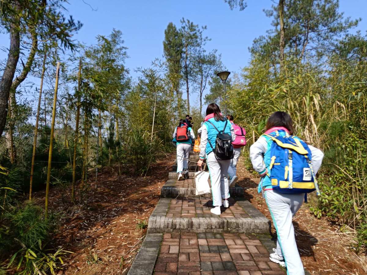 远足与旅行，提升孩子认知能力的锻炼之旅