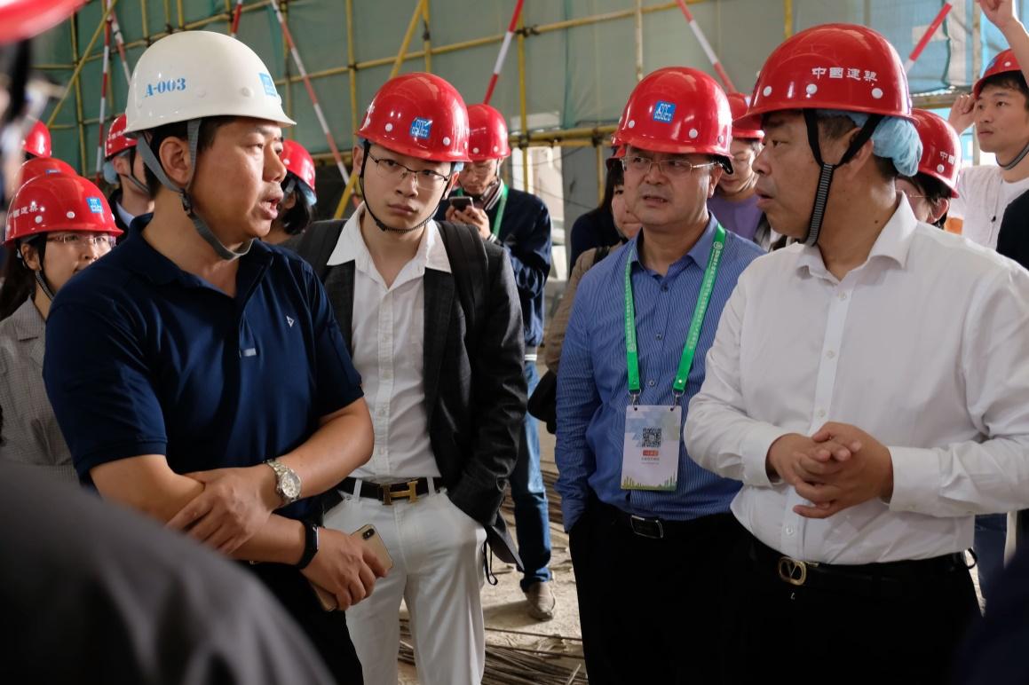 绿色建筑技术与可持续居住环境的创新，构建宜居地球的关键之道