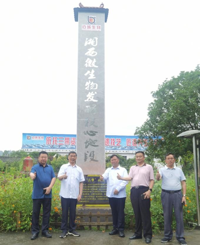 生物科技在健康产业中的迅猛发展与广泛应用