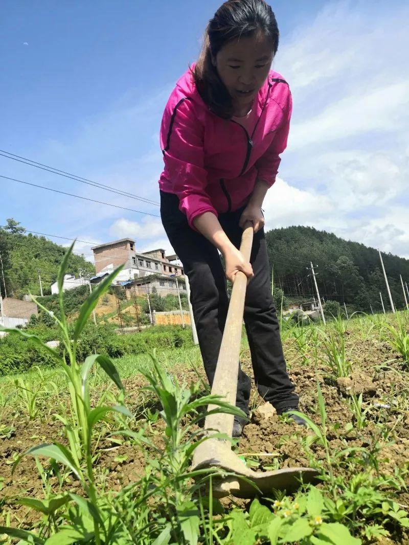 精准扶贫政策实施背景下的城乡发展差距，挑战与机遇解析