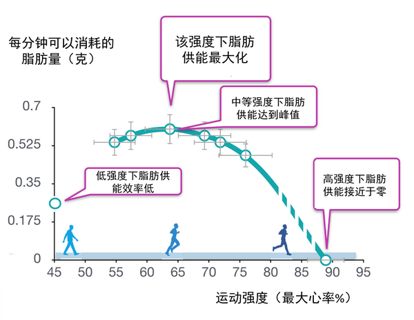 慢跑与抗衰老，运动助力延缓衰老步伐