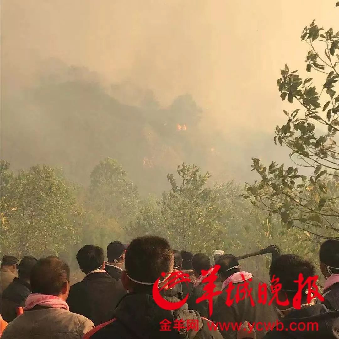 佛山狮山大学城山火事件通报，突发火情迅速应对