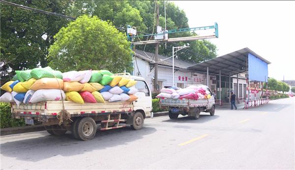 今年粮食收购量预计达8400亿斤，粮食市场现状与未来趋势探讨