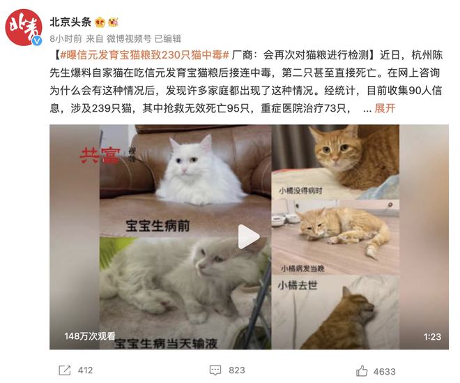 近百只猫溺亡水塘事件，反思与启示