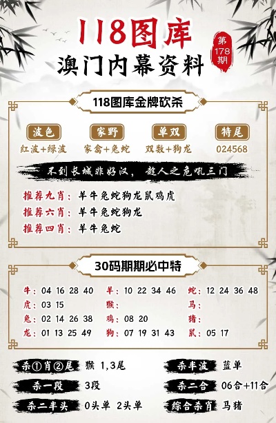 澳门正版精准免费大全,项目管理执行策略_高端版73.521