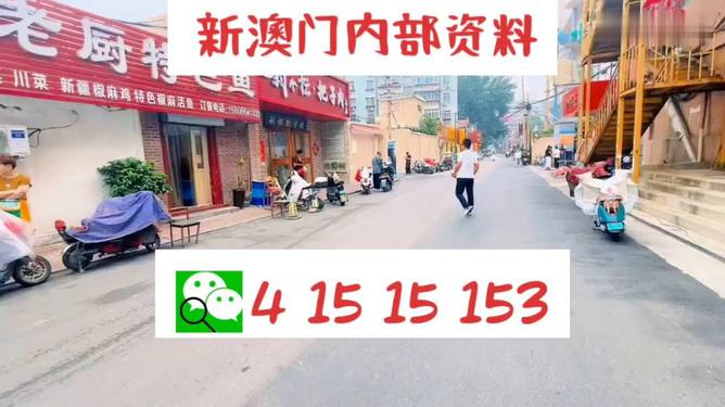 新澳天天开好彩资料大全,全景动态精准调整_方案版66.73.82