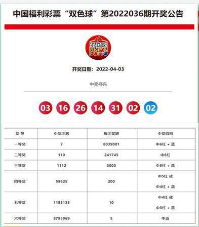 新澳开奖结果资料查询合肥,高效解答方案执行_领跑版58.72.11