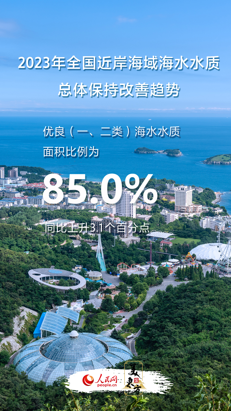 新澳2023年一肖一马中特,高效回应方案执行_超群版62.75.48